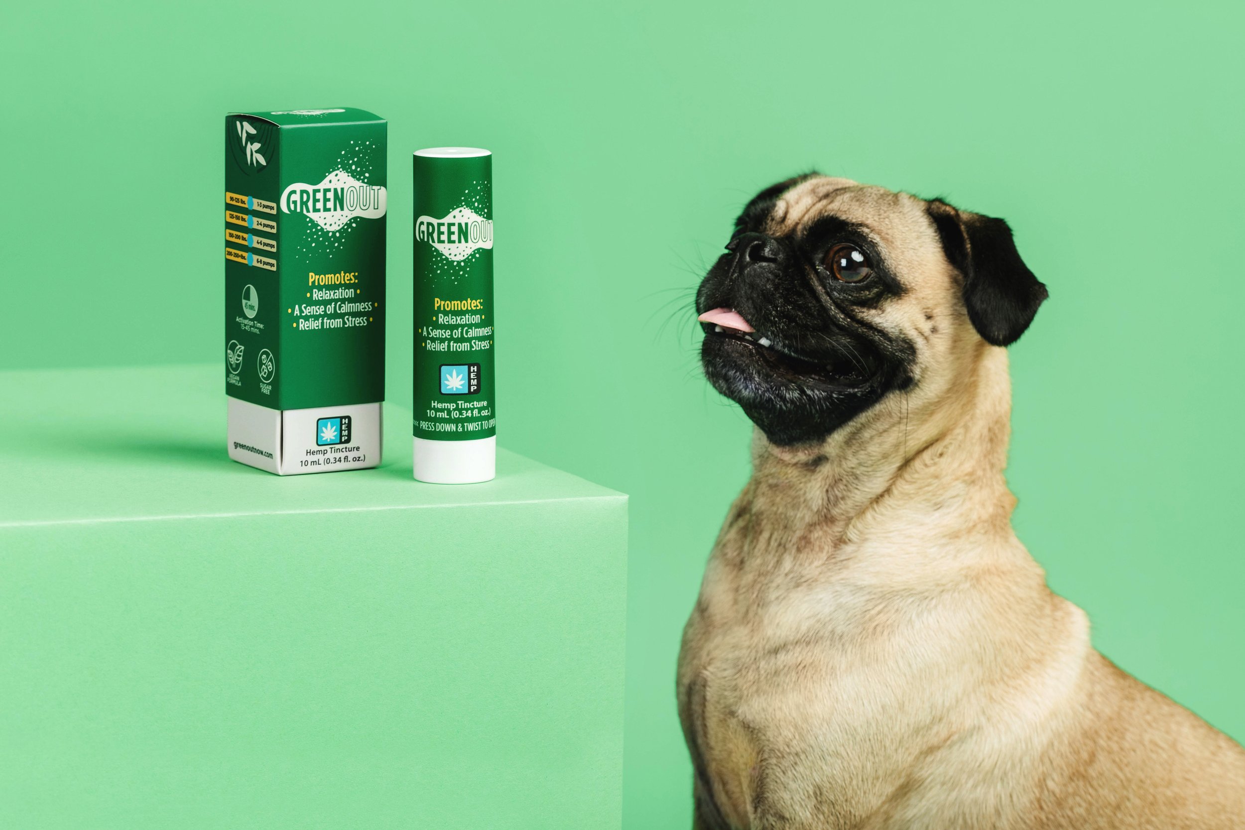 GreenOut_2023BrandShoot_Pet.jpg